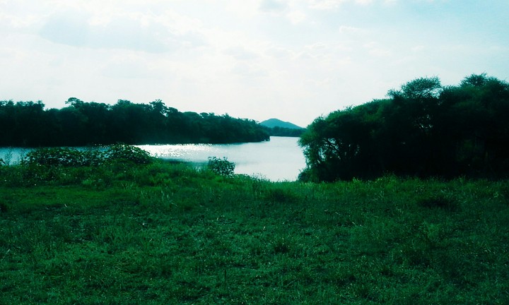 mogol river