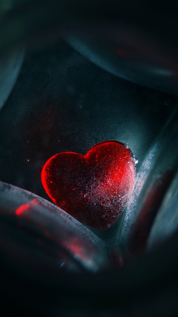 Heart In Dark
