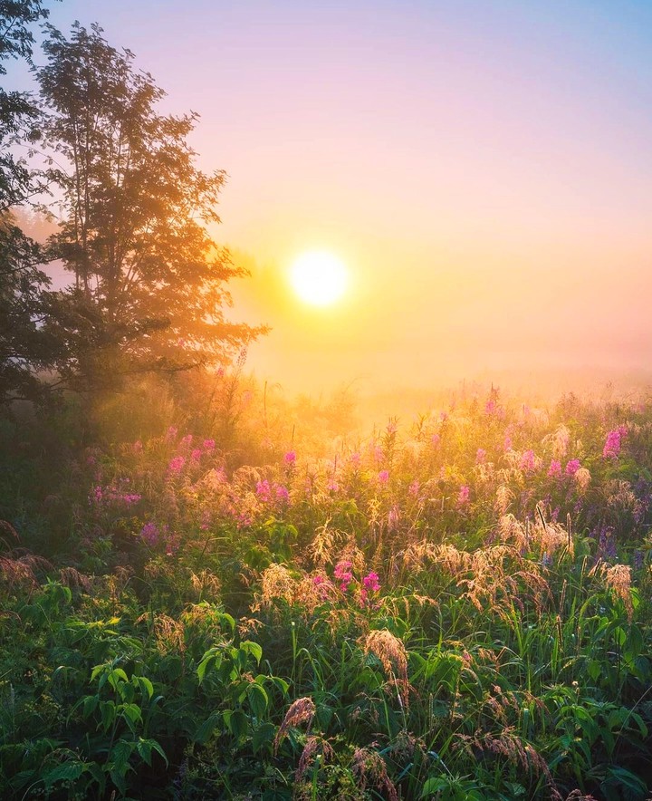 lovely morning...