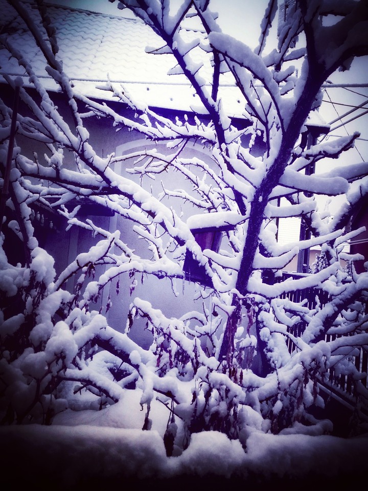 Winter
