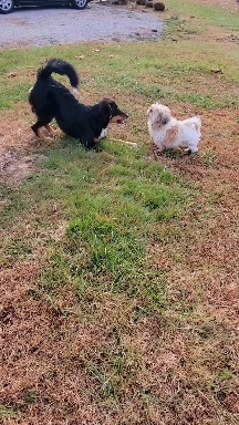 having fun