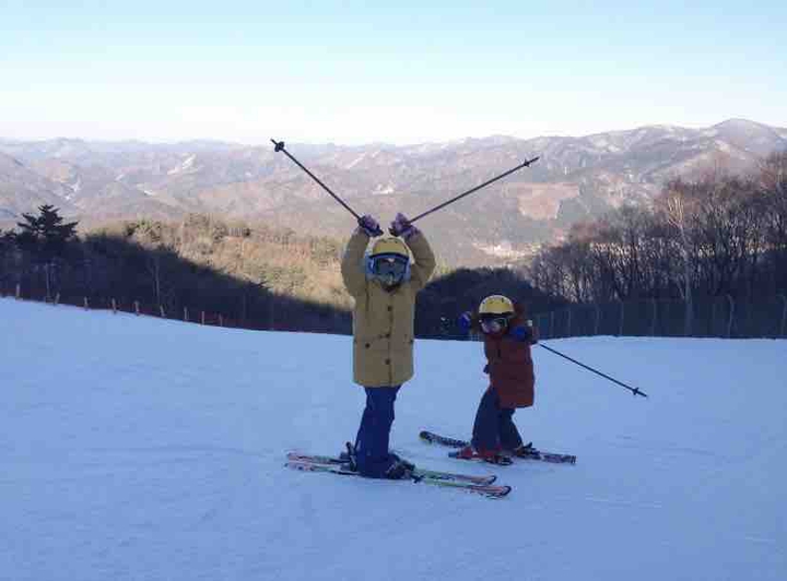 ski