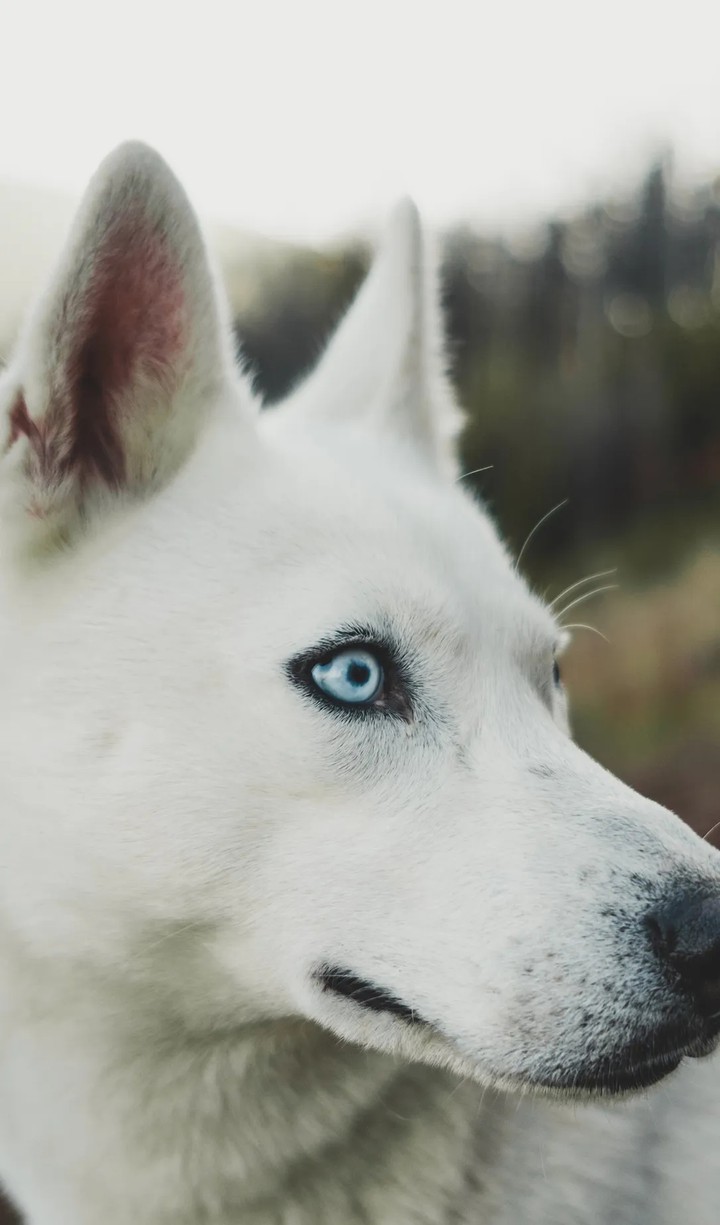love the eyes