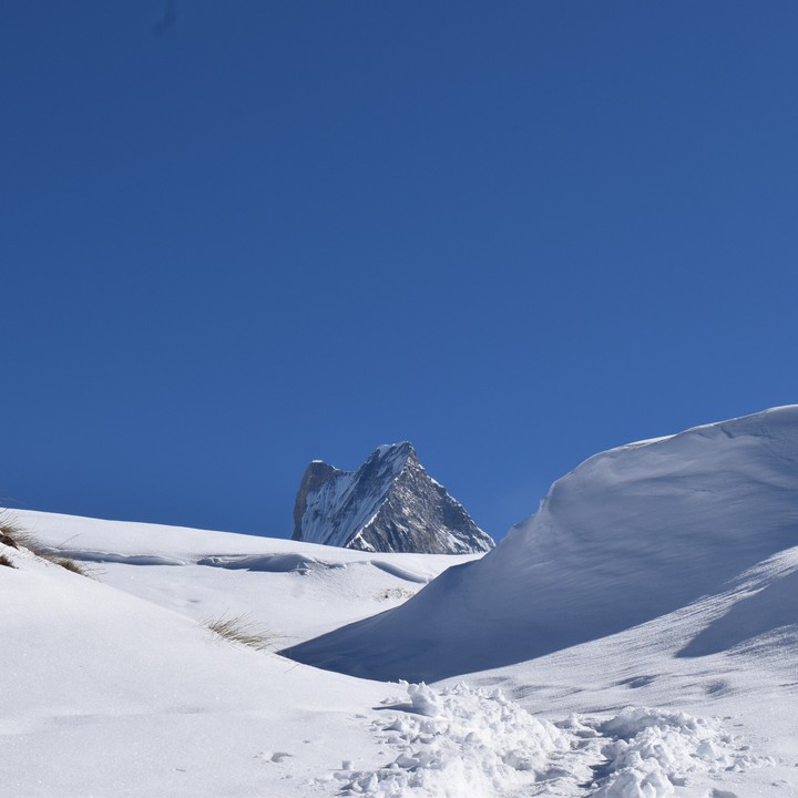 Peak of Mount Machhapuchhre peaking!!