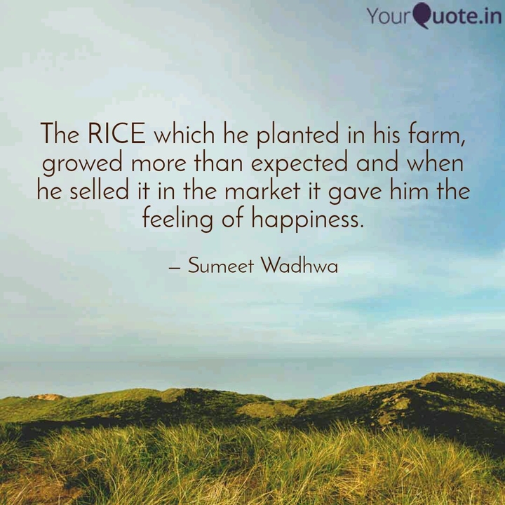 Rice