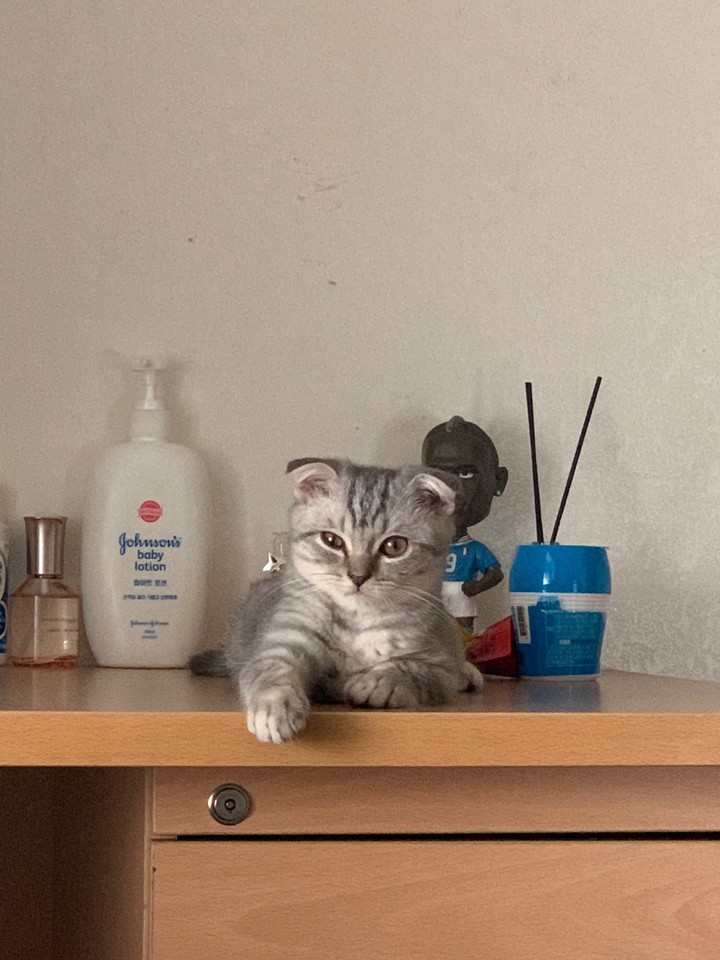 인형인줄......