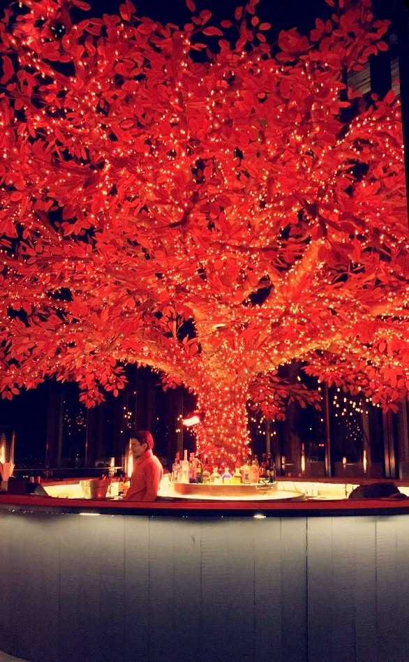 Night Tree