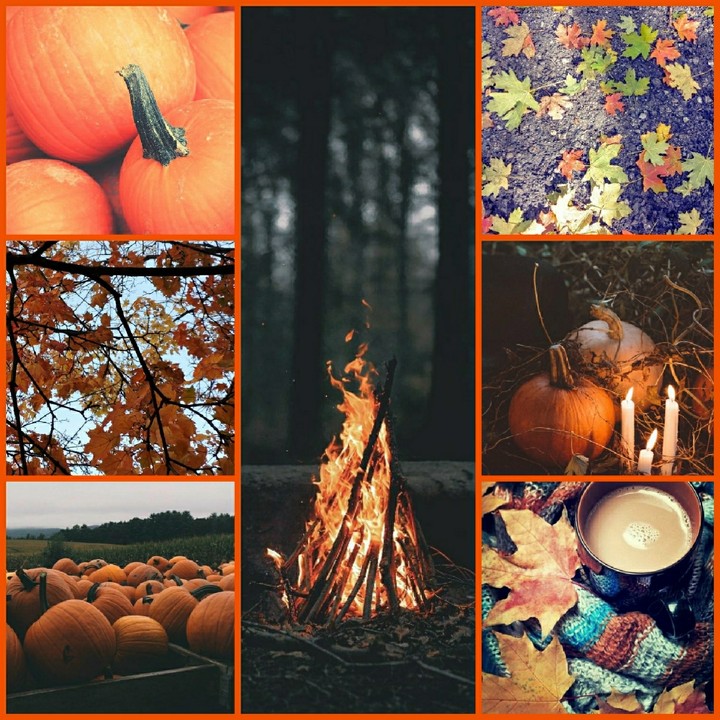 fall collage
