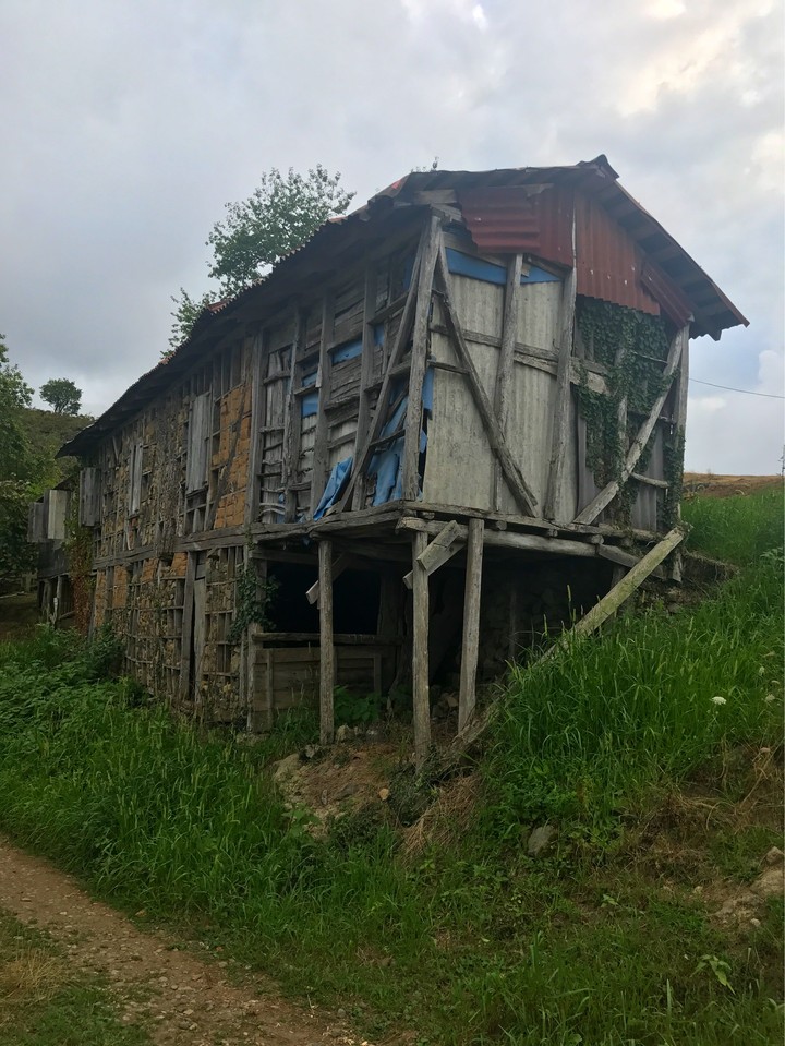 Ordu, Turnasuyu