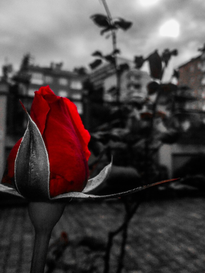 Güzel olan çektiğin nesne değil. Çekebilendir