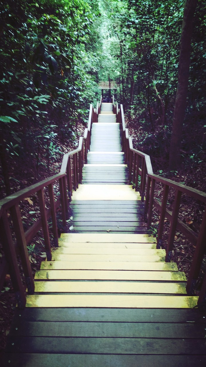 A path to heaven!