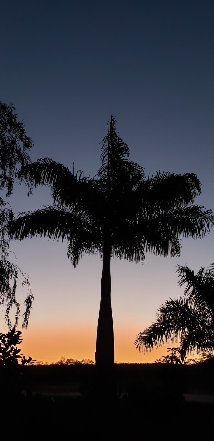Entardecer