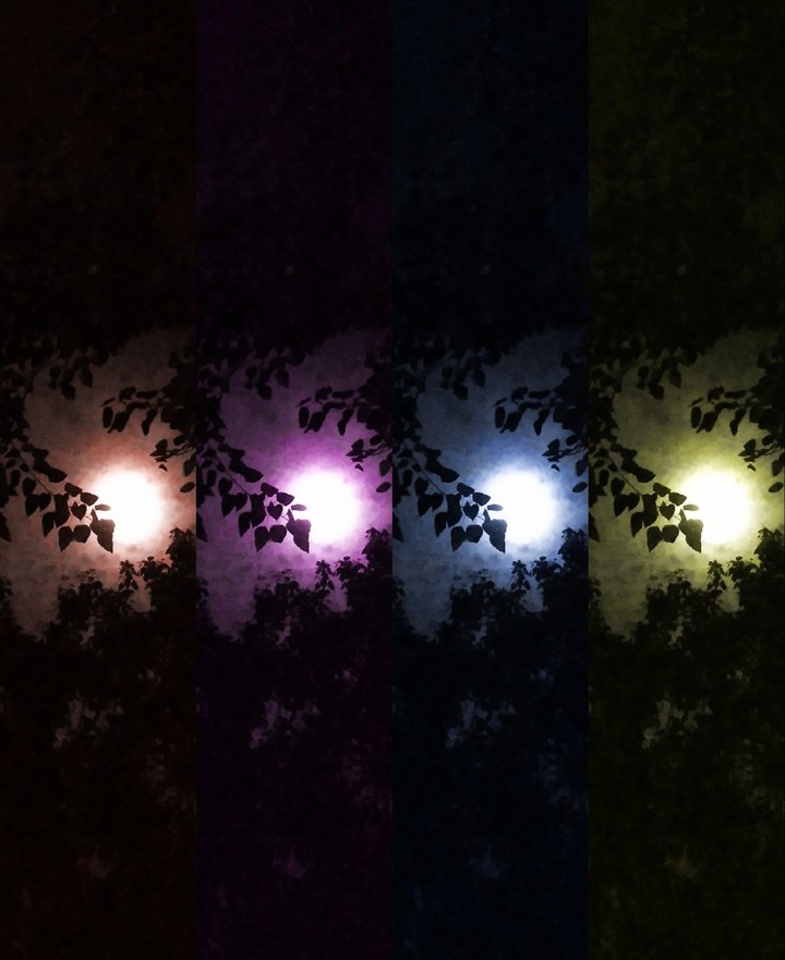 Moon