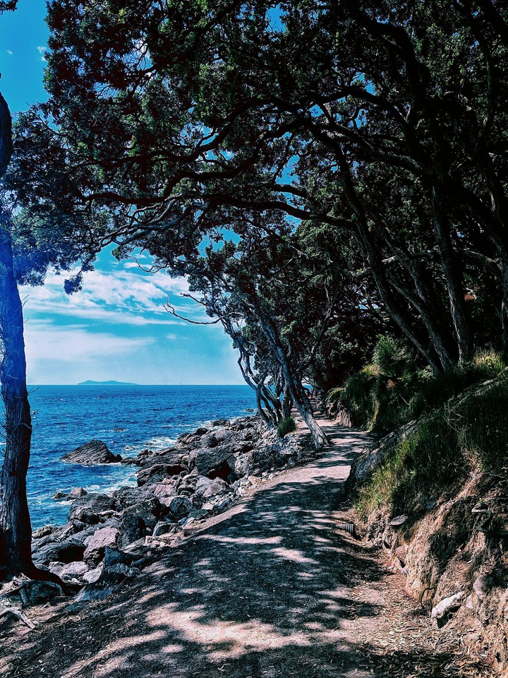 Peaceful Walk