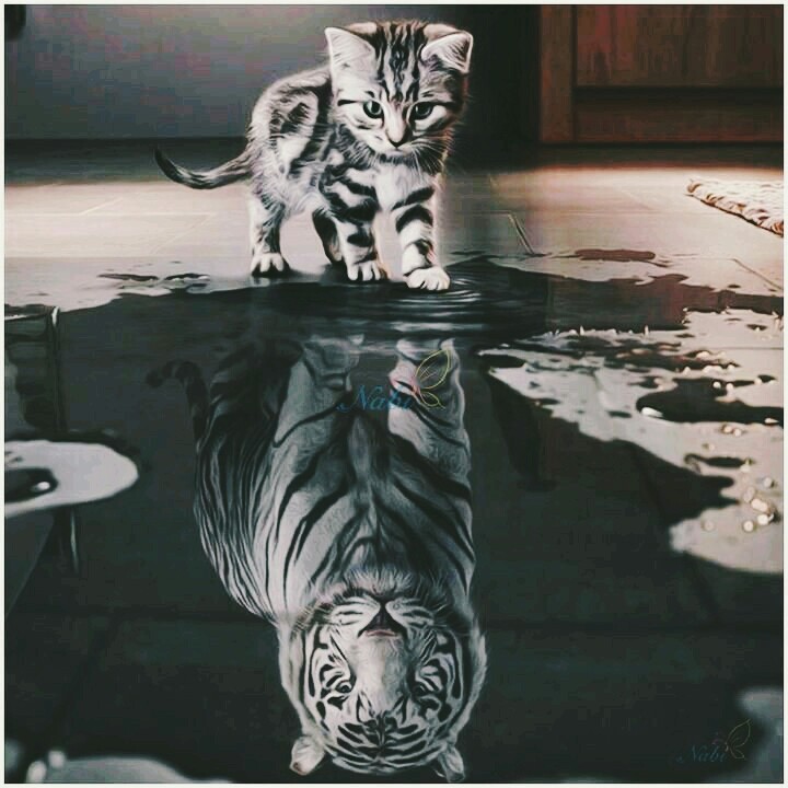 believe in yourself...