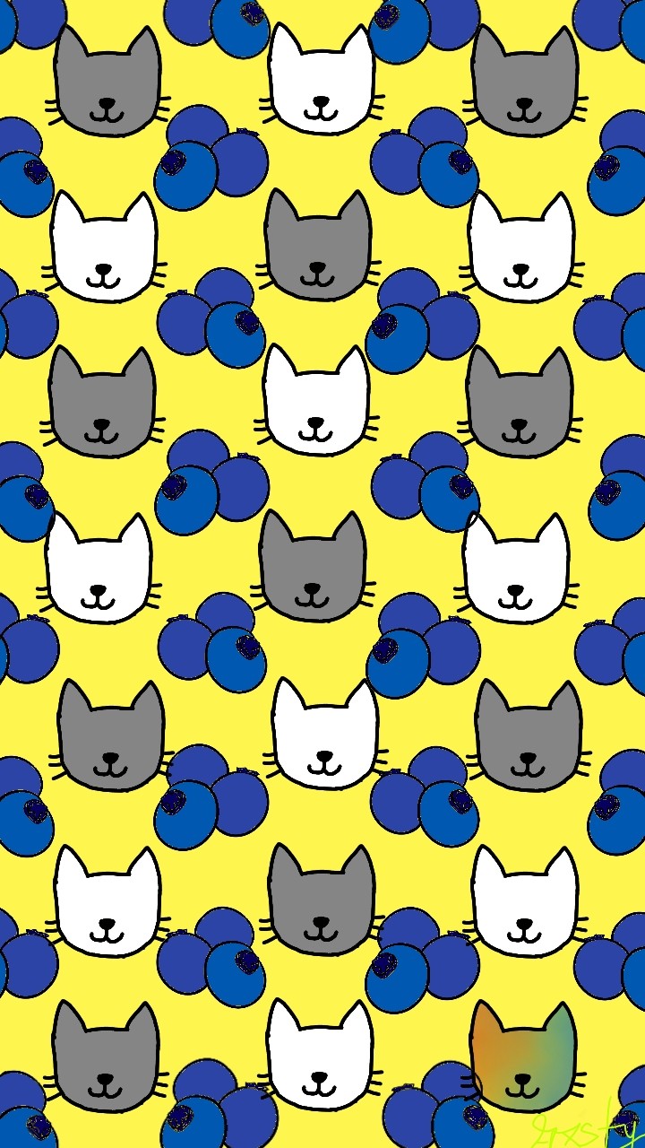 cats and blueberries