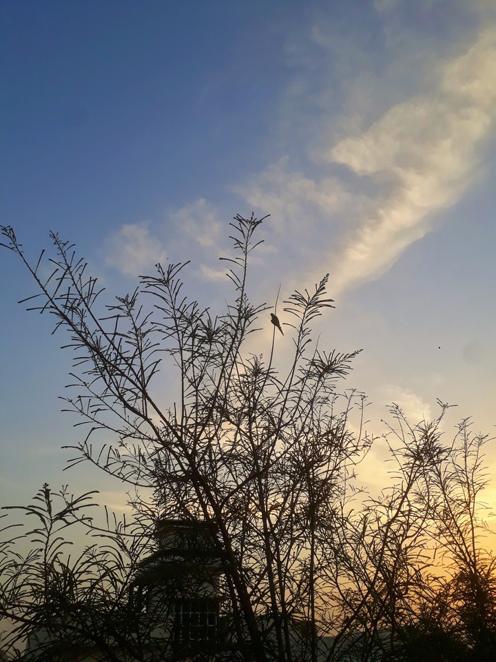 nature