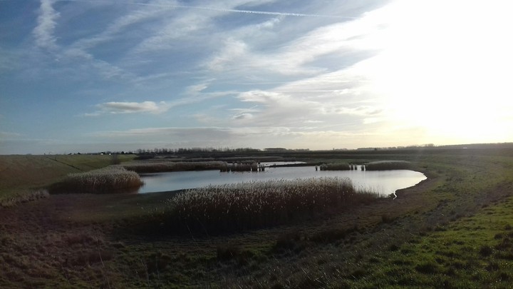 Netherlands