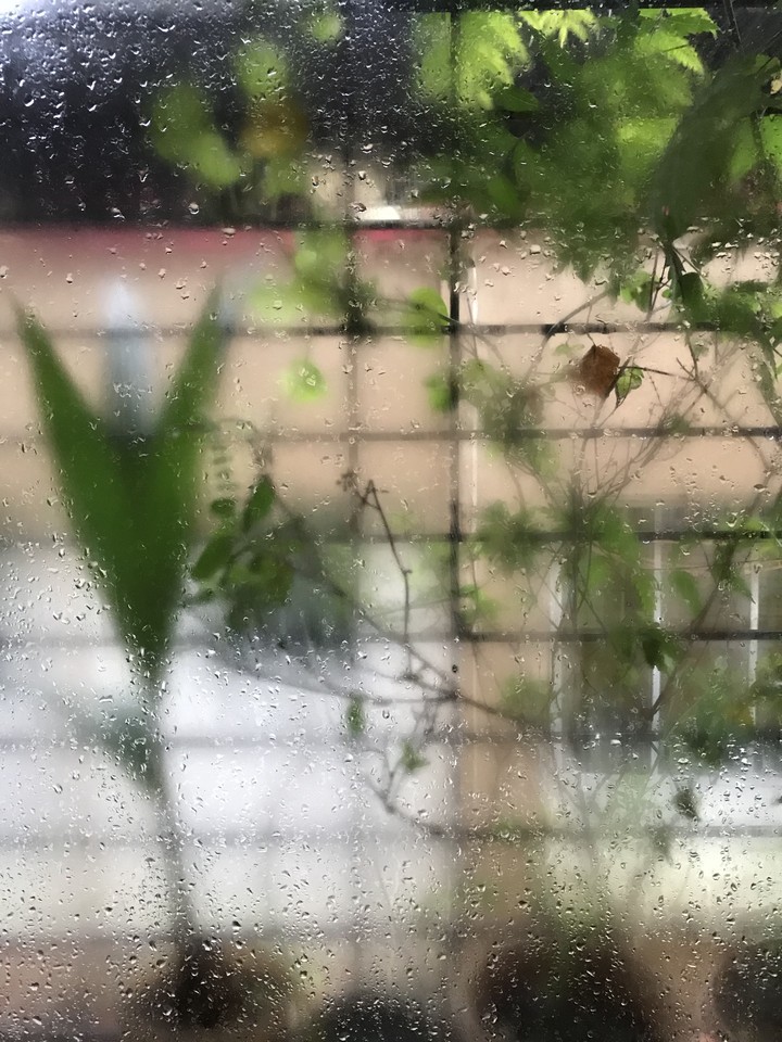 Blur Rainy Window.