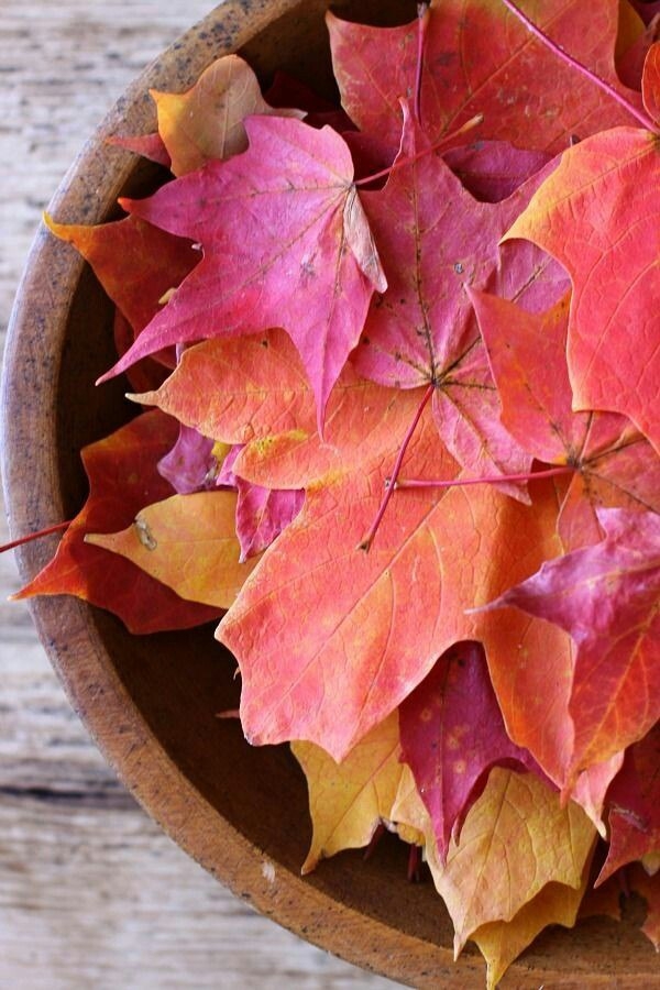 Autumn is here