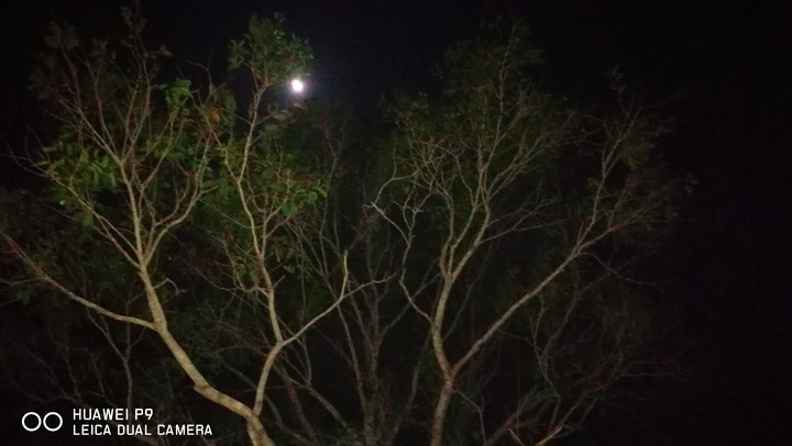 moon