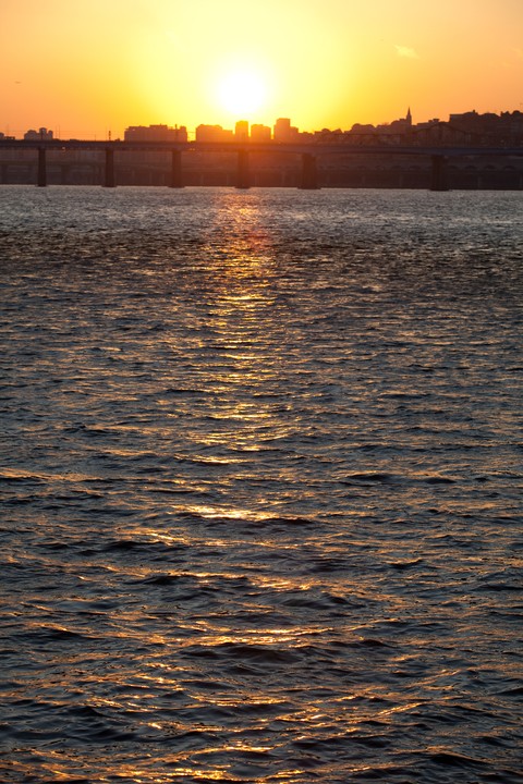 Scenics