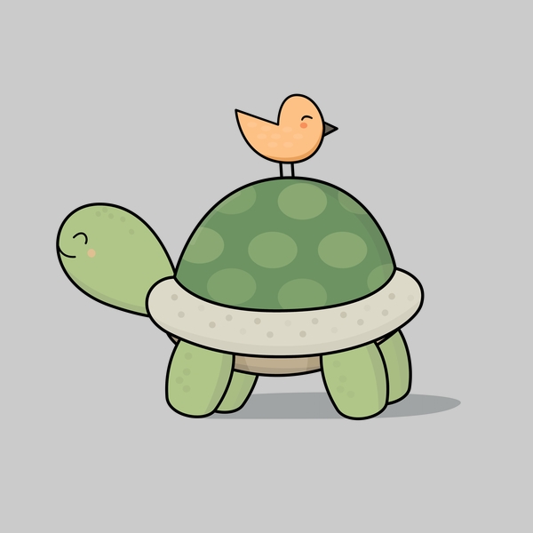 Cute tortoise!