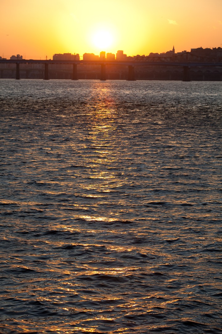 Scenics