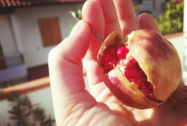 autumn's fruit