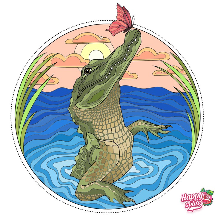 ...