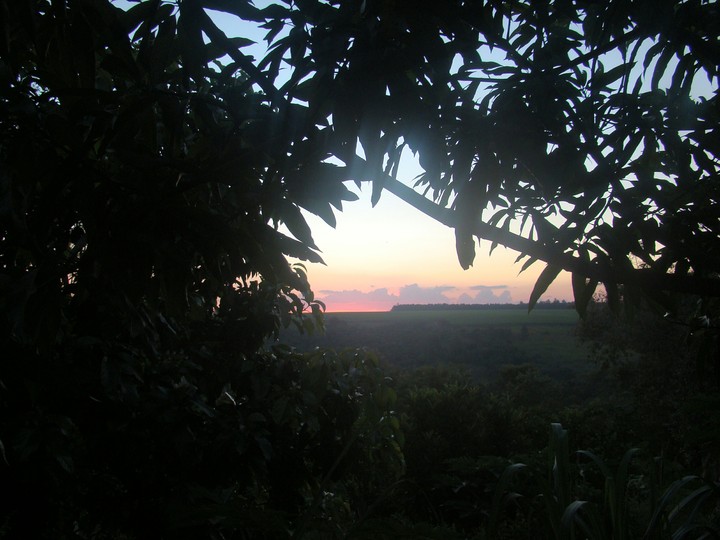 Good Place