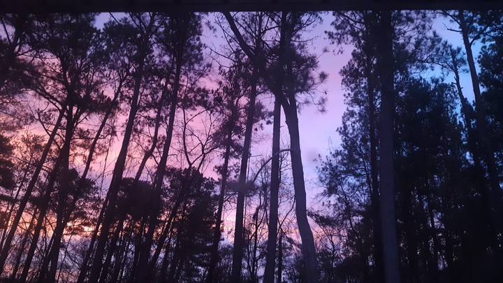 morning