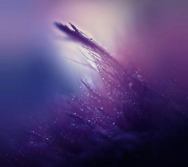 rain