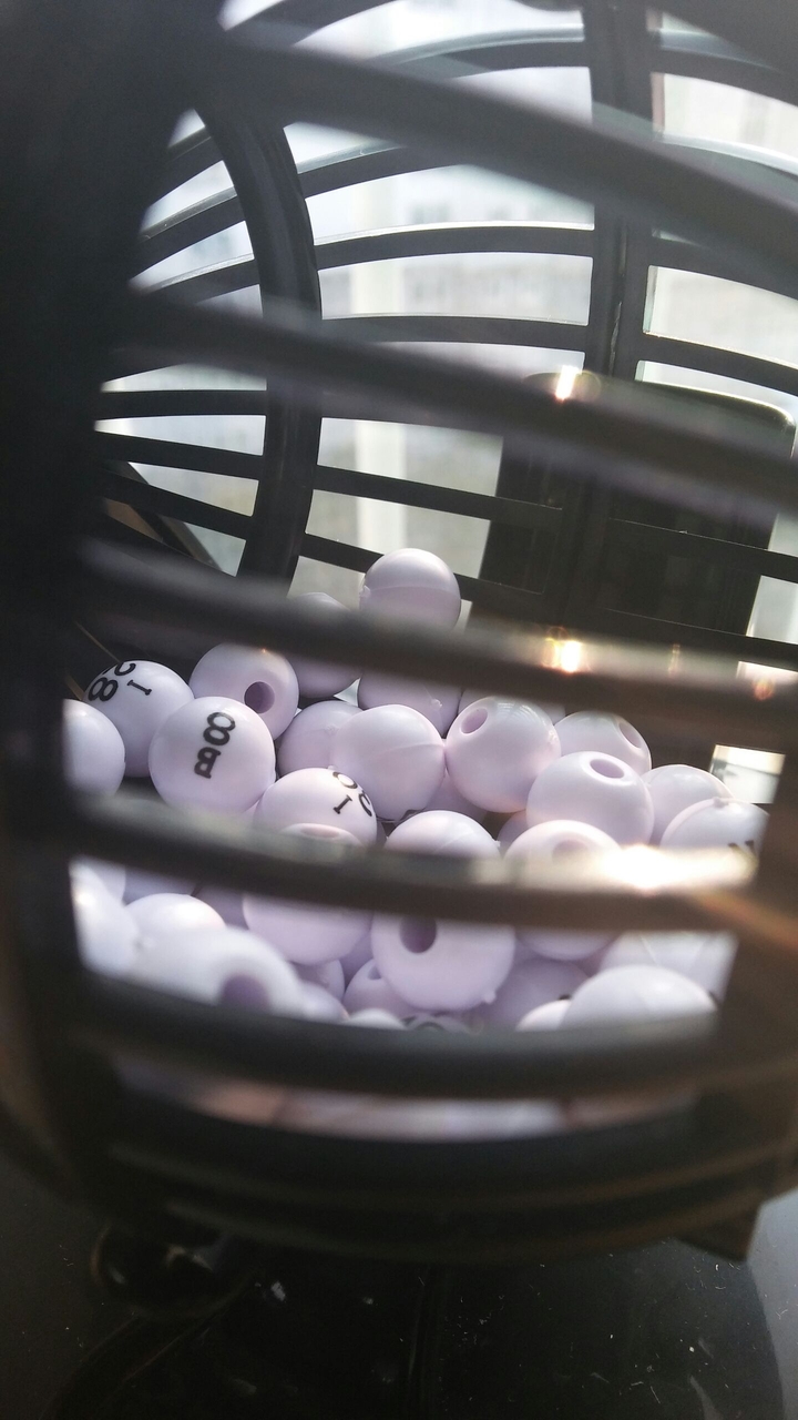 Bingo 빙고