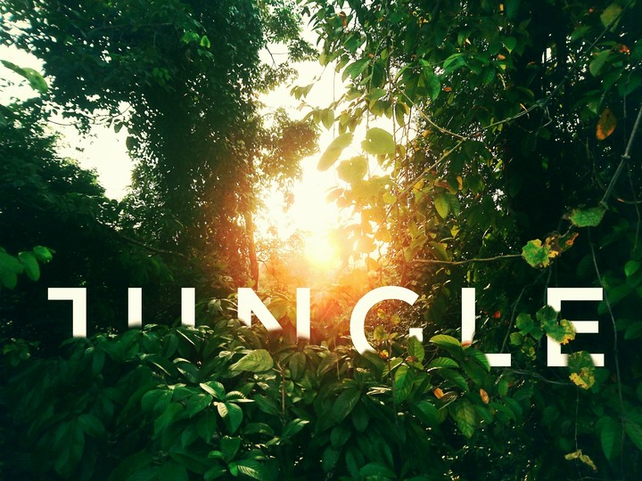 Jungle