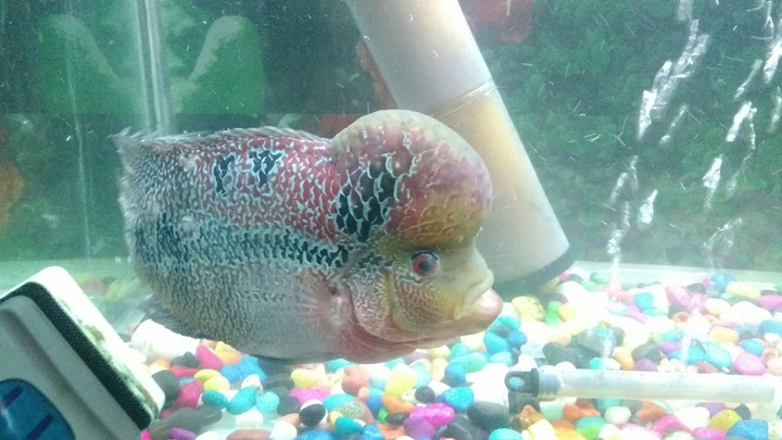Isn't it sexy!!!!!