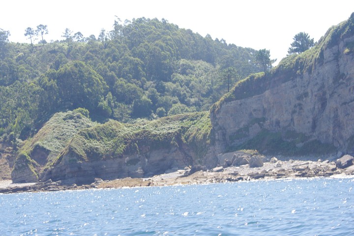 Pitjades de dinosauri