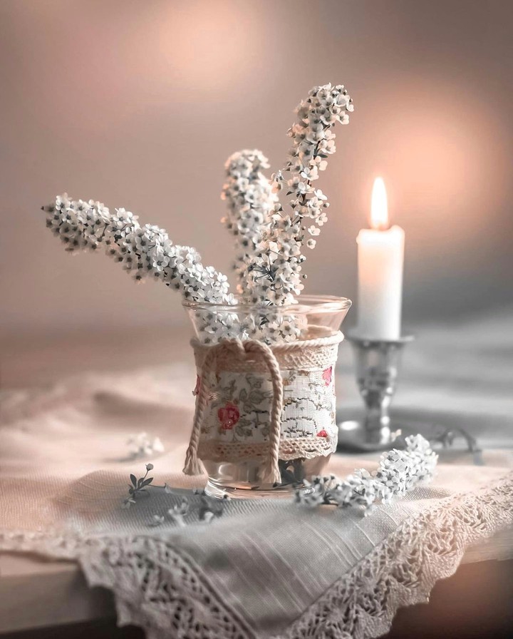 Stilllife