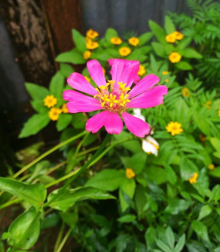 depth of field