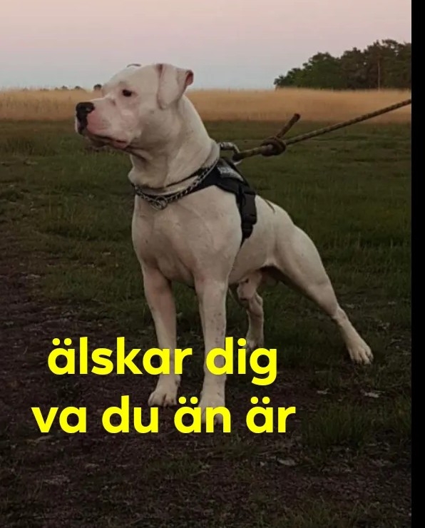 .