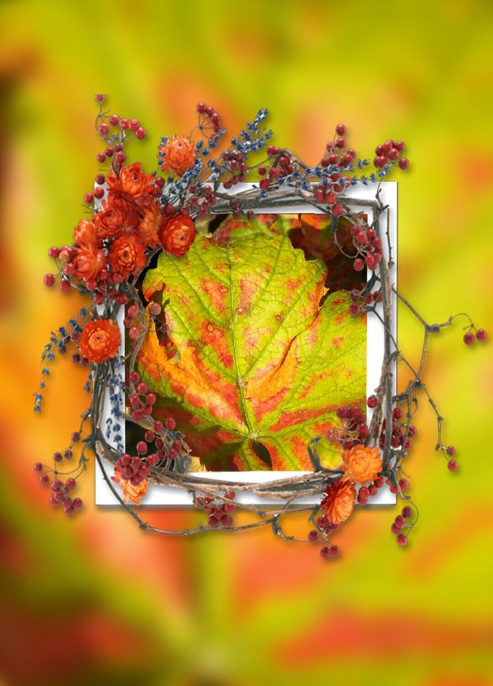 Herbst