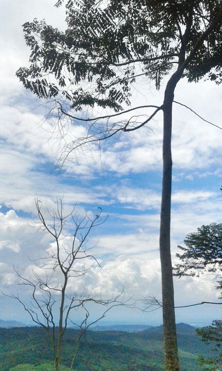 langit yang indah di mountain rocky