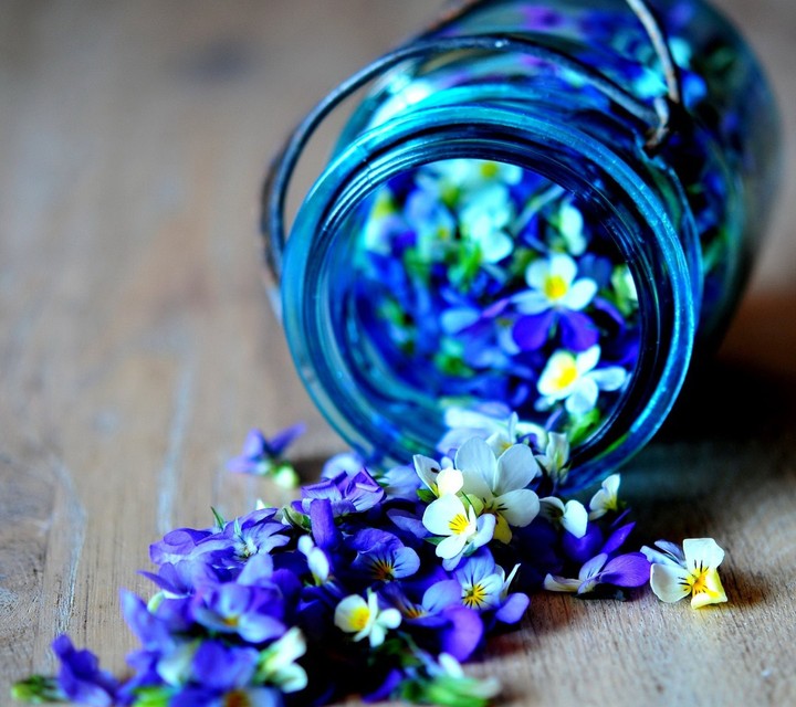 flower