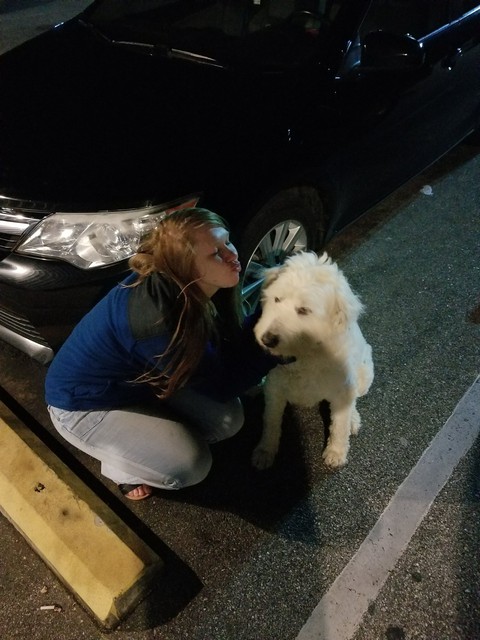 To Da Rescue
