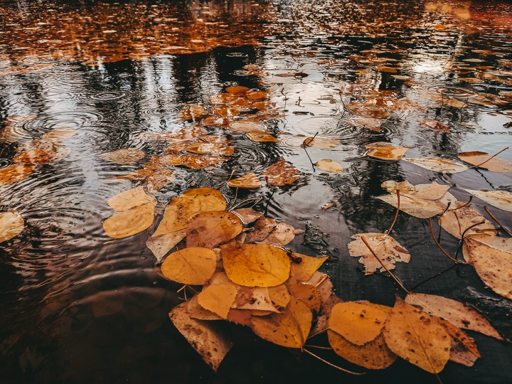 Autumn