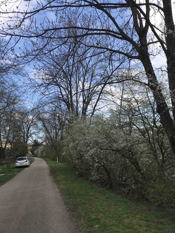 Spring