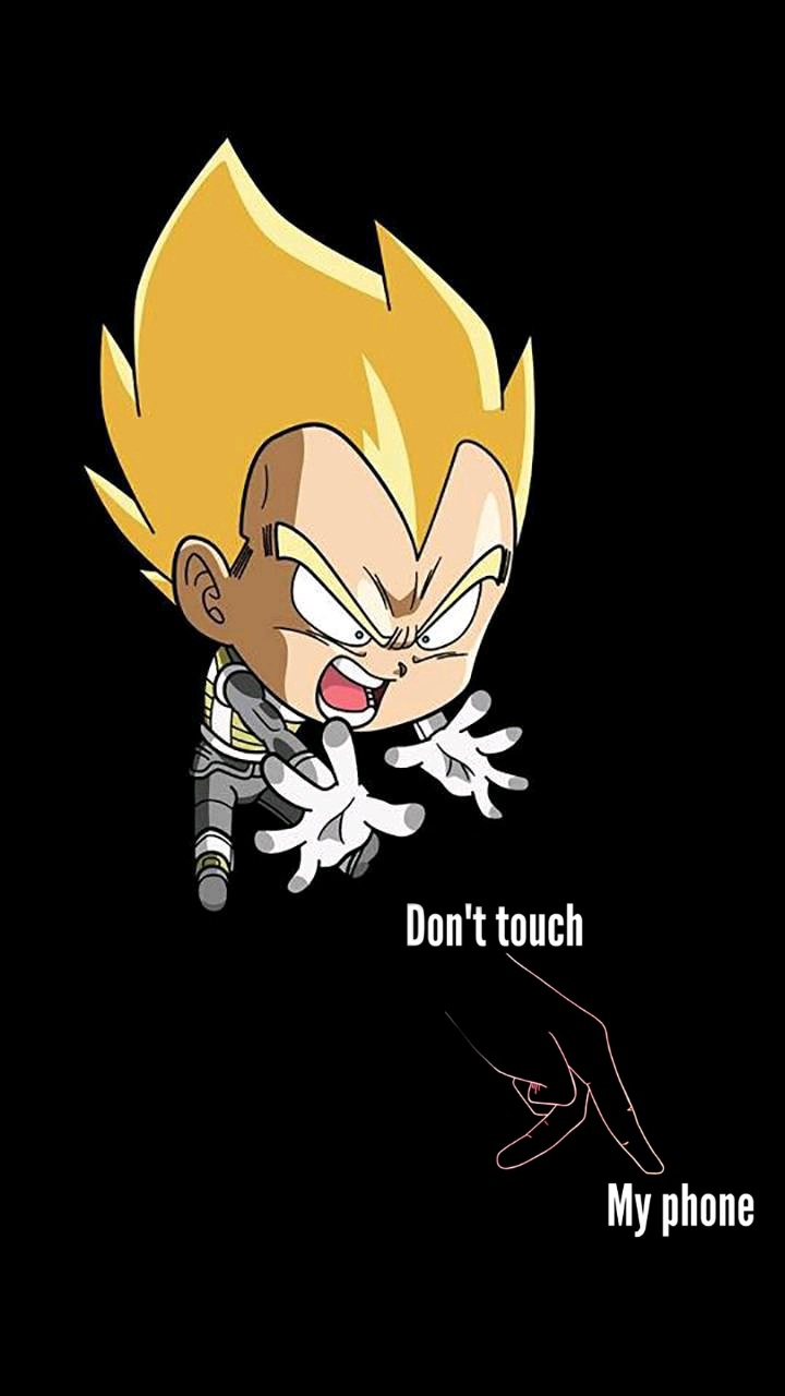 don't Touch my Phone