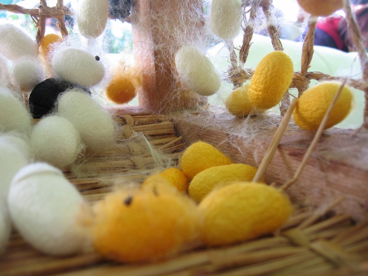 Silkworm