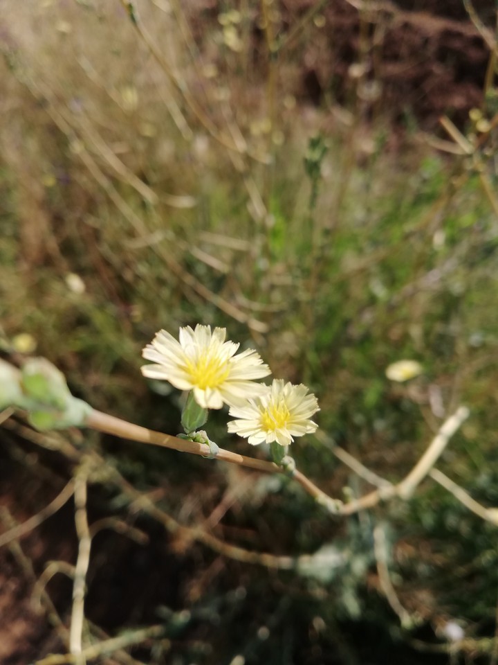 my photography