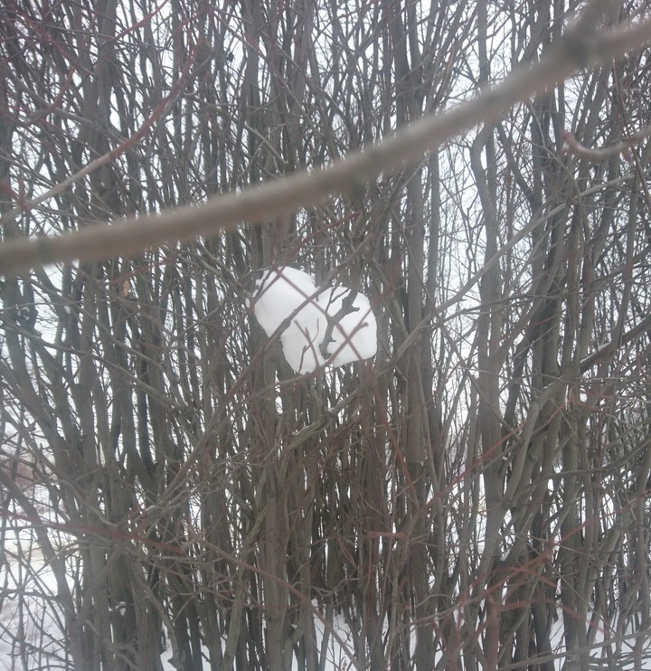 winter loves us